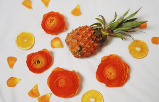 Meet Terpenes: The Little Compounds That Deliver Big Vibes