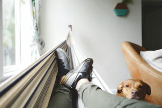person chilling out in hammock with dog