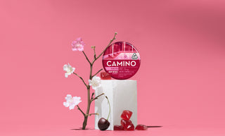 Camino Wild Cherry 'Excite' 5mg Gummies