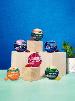 Camino Sweet Spot Sampler Mini Tin 5 Pack