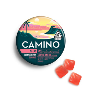Endless Summer Bundle