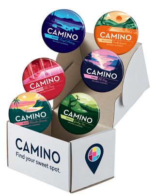 Camino.Popup.Box.1920.241203.png