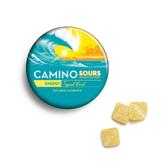 Endless Summer Bundle