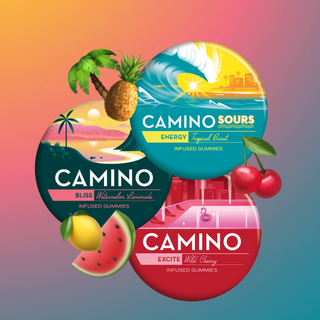 Endless Summer Bundle