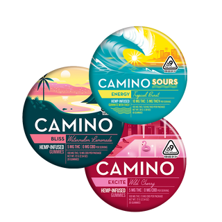 Endless Summer Bundle