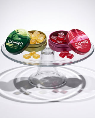 The Camino Social Vibe Trial Pack